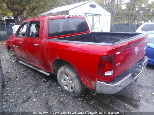 1C6RD7LP5CS249519 - 2012 DODGE RAM 1500 SLT RED photo 3