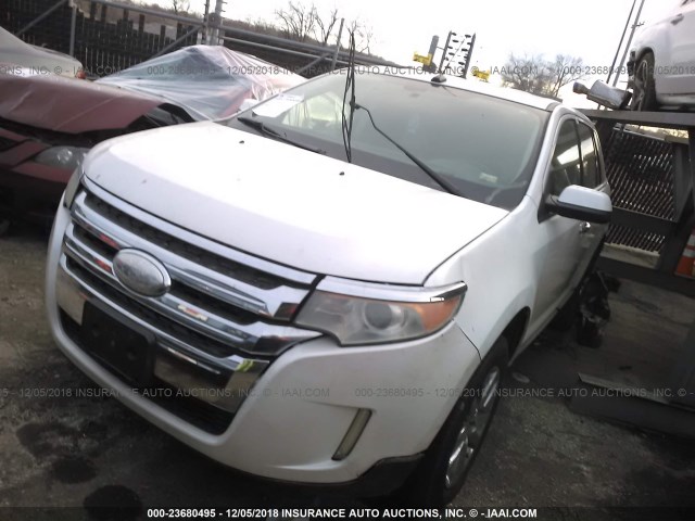 2FMDK3JC4BBB32066 - 2011 FORD EDGE SEL WHITE photo 2