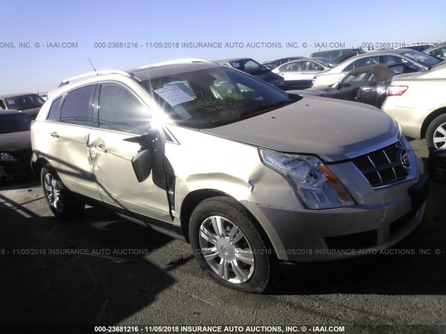 3GYFNDEY6AS561826 - 2010 CADILLAC SRX LUXURY COLLECTION GOLD photo 1