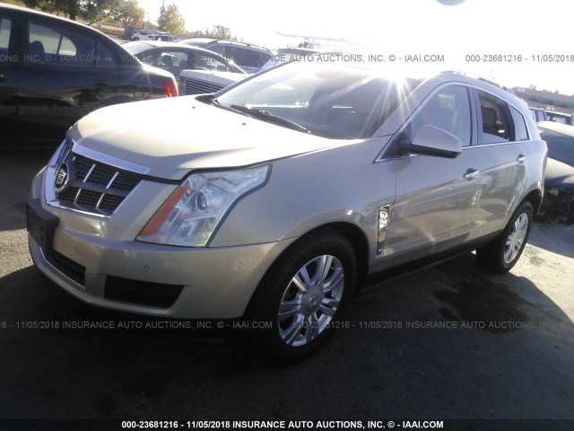 3GYFNDEY6AS561826 - 2010 CADILLAC SRX LUXURY COLLECTION GOLD photo 2