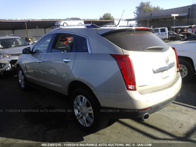 3GYFNDEY6AS561826 - 2010 CADILLAC SRX LUXURY COLLECTION GOLD photo 3