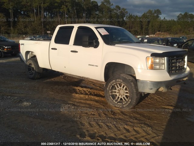 1GT4KZBGXAF146253 - 2010 GMC SIERRA WHITE photo 3