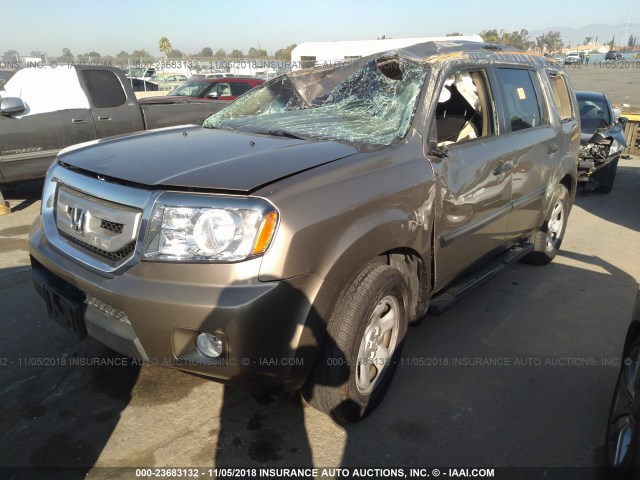 5FNYF3H20BB055268 - 2011 HONDA PILOT LX GOLD photo 2