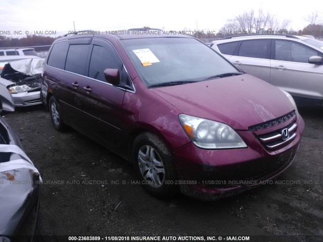 5FNRL38446B126492 - 2006 HONDA ODYSSEY EX MAROON photo 1