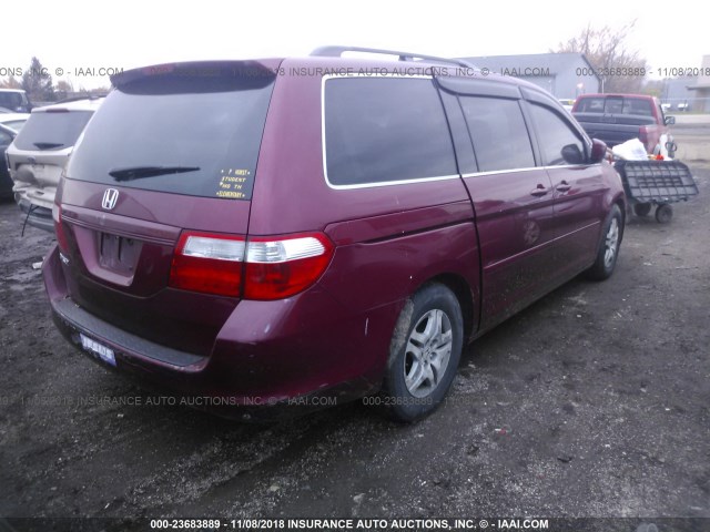 5FNRL38446B126492 - 2006 HONDA ODYSSEY EX MAROON photo 4