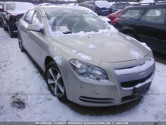1G1ZC5E13BF285489 - 2011 CHEVROLET MALIBU 1LT ბეჟი ფოტო 1