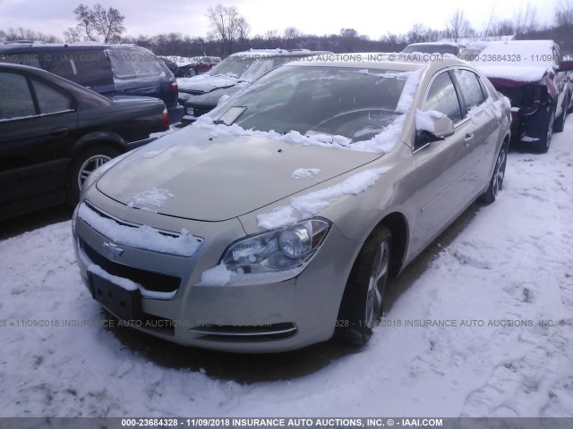 1G1ZC5E13BF285489 - 2011 CHEVROLET MALIBU 1LT ბეჟი ფოტო 2