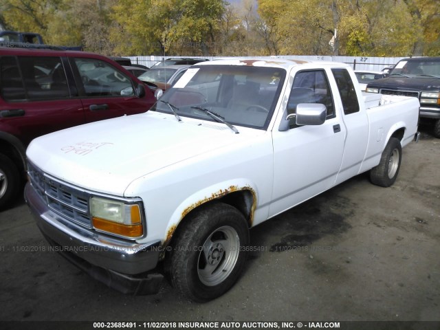 1B7GL23Y6PS225993 - 1993 DODGE DAKOTA WHITE photo 2