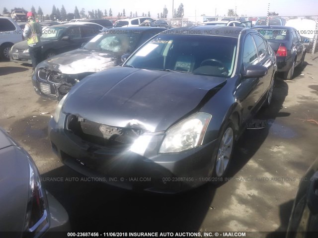 1N4BA41E87C801782 - 2007 NISSAN MAXIMA SE/SL GRAY photo 2