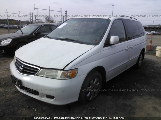 5FNRL18994B023162 - 2004 HONDA ODYSSEY EXL WHITE photo 2