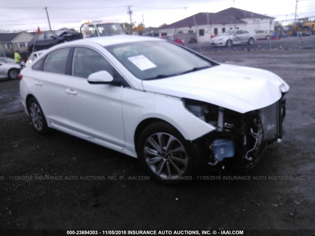 5NPE34AF8GH271909 - 2016 HYUNDAI SONATA SPORT/LIMITED WHITE photo 1