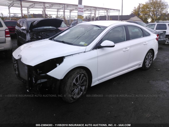 5NPE34AF8GH271909 - 2016 HYUNDAI SONATA SPORT/LIMITED WHITE photo 2