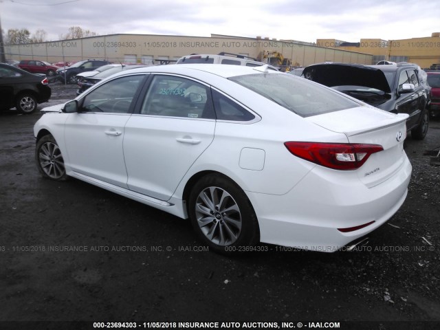 5NPE34AF8GH271909 - 2016 HYUNDAI SONATA SPORT/LIMITED WHITE photo 3