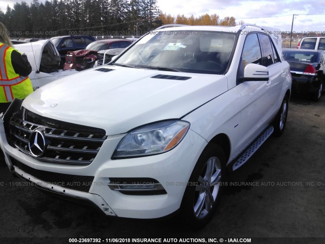 4JGDA5HB4CA000904 - 2012 MERCEDES-BENZ ML 350 4MATIC WHITE photo 2