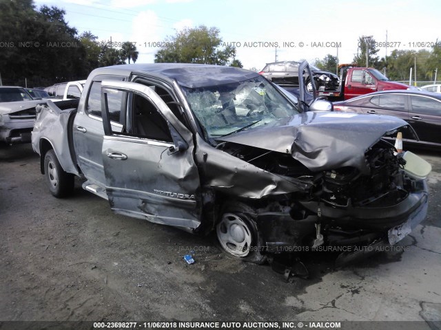 5TBDT44185S476416 - 2005 TOYOTA TUNDRA DOUBLE CAB SR5 GRAY photo 1