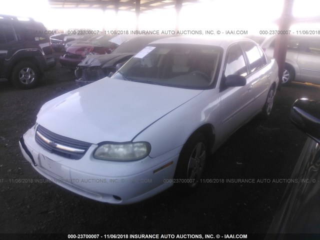 1G1ND52F05M141507 - 2005 CHEVROLET CLASSIC WHITE photo 2