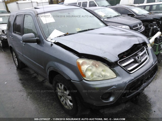 JHLRD78995C064635 - 2005 HONDA CR-V SE/EX Pewter photo 1