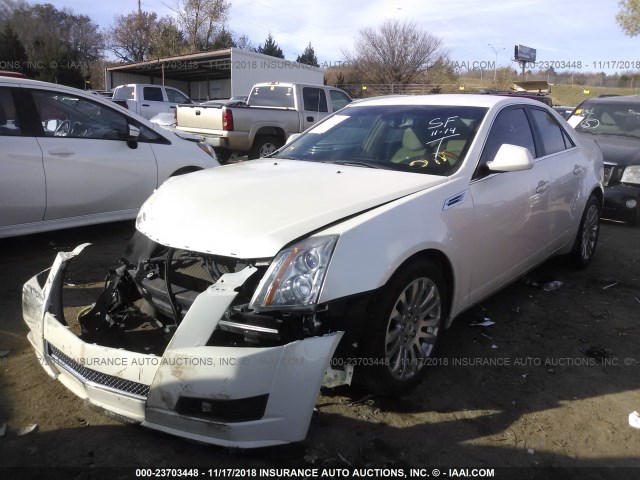1G6DF577690125522 - 2009 CADILLAC CTS WHITE photo 2