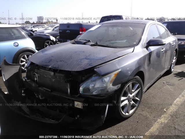 1N4AA51E09C861463 - 2009 NISSAN MAXIMA S/SV GRAY photo 2