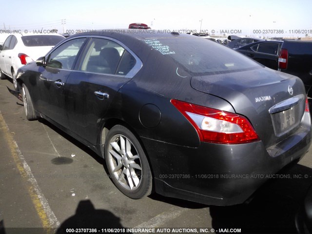 1N4AA51E09C861463 - 2009 NISSAN MAXIMA S/SV GRAY photo 3