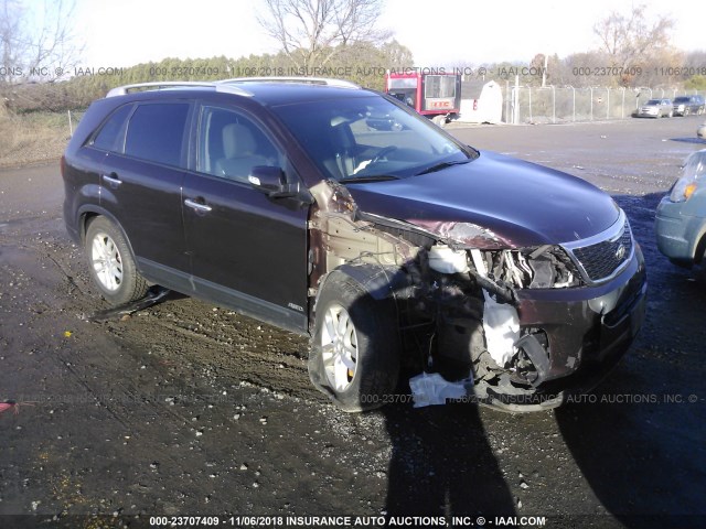 5XYKTCA6XEG436859 - 2014 KIA SORENTO LX MAROON photo 1