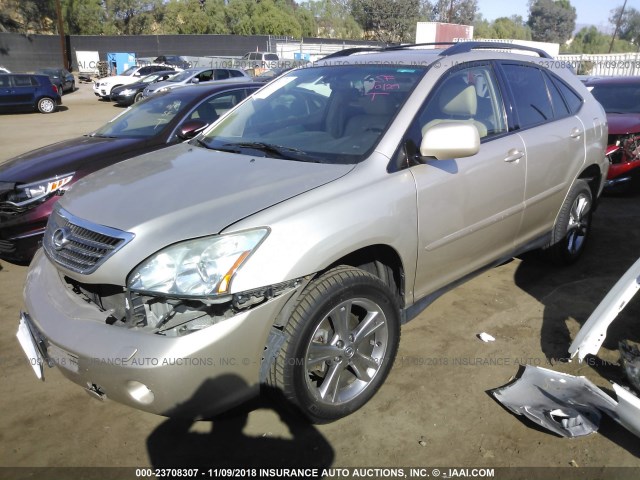 JTJHW31U060036006 - 2006 LEXUS RX 400 GOLD photo 2