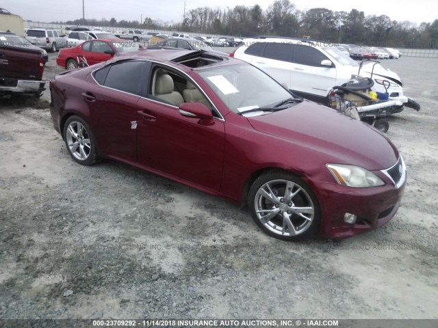 JTHBF5C26A5109616 - 2010 LEXUS IS 250 RED photo 1