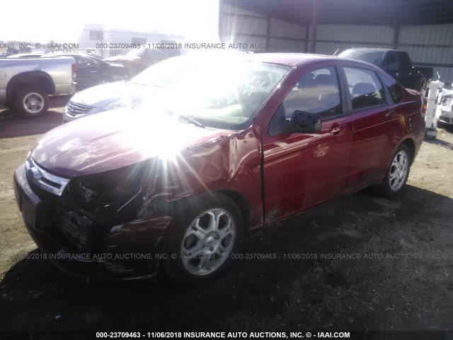 1FAHP36N59W229440 - 2009 FORD FOCUS SES RED photo 2