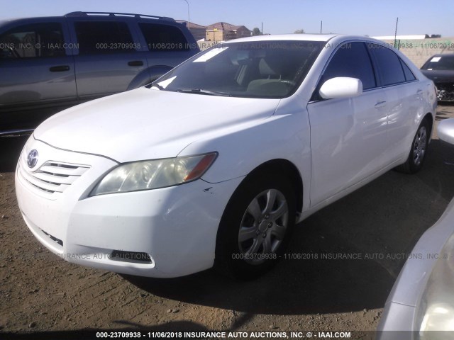 4T1BE46K87U649540 - 2007 TOYOTA CAMRY NEW GENERAT CE/LE/XLE/SE WHITE photo 2