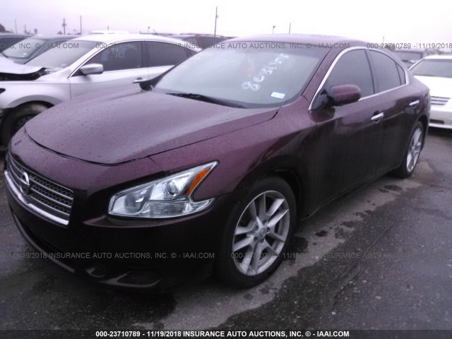 1N4AA5AP6AC808188 - 2010 NISSAN MAXIMA S/SV MAROON photo 2