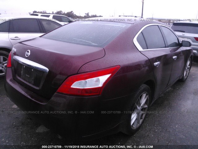 1N4AA5AP6AC808188 - 2010 NISSAN MAXIMA S/SV MAROON photo 4