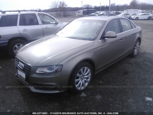 WAUSF78K99A092915 - 2009 AUDI A4 PREMIUM PLUS GOLD photo 2