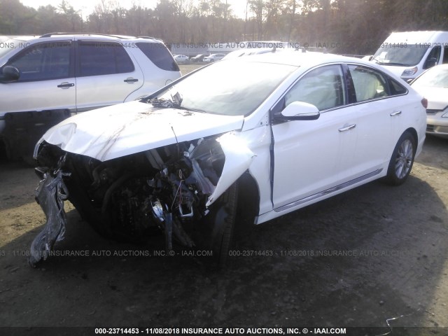 5NPE34AF2FH018549 - 2015 HYUNDAI SONATA SPORT/LIMITED WHITE photo 2