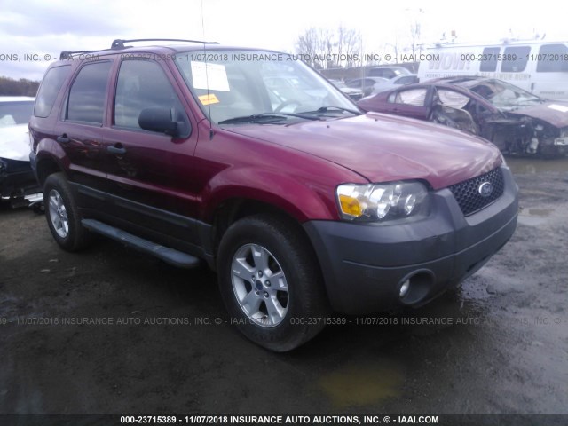 1FMYU03147KB68133 - 2007 FORD ESCAPE XLT RED photo 1