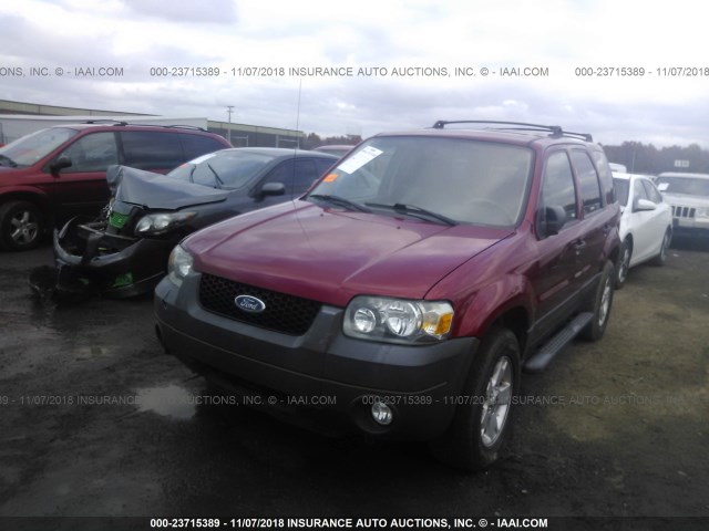 1FMYU03147KB68133 - 2007 FORD ESCAPE XLT RED photo 2