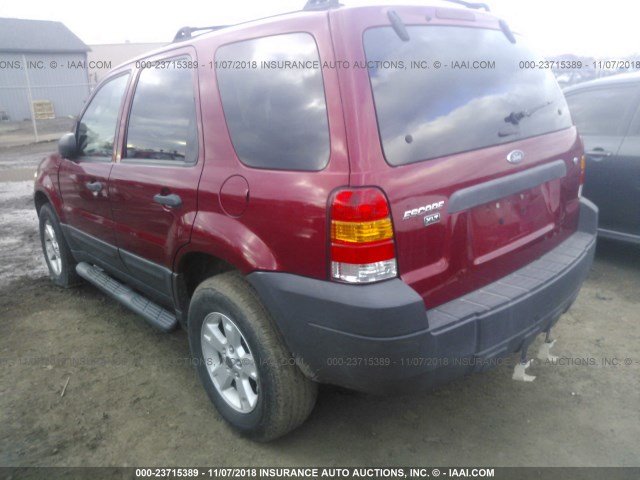 1FMYU03147KB68133 - 2007 FORD ESCAPE XLT RED photo 3