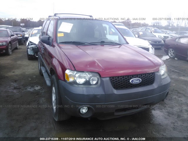 1FMYU03147KB68133 - 2007 FORD ESCAPE XLT RED photo 6