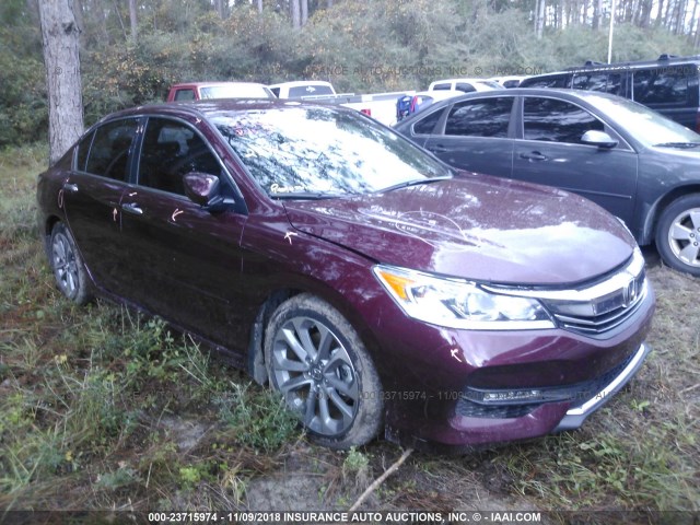 1HGCR2F5XHA300461 - 2017 HONDA ACCORD SPORT BURGUNDY photo 1