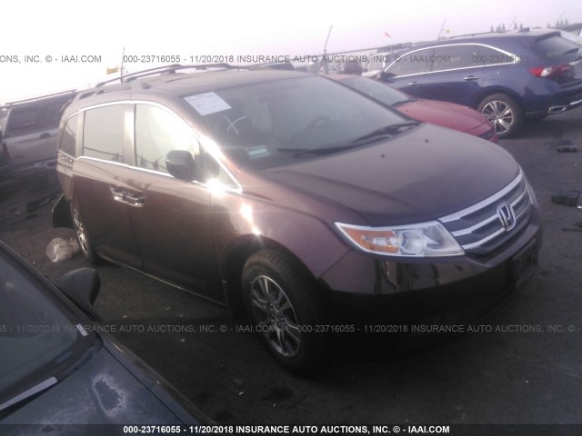 5FNRL5H67DB087780 - 2013 HONDA ODYSSEY EXL BURGUNDY photo 1