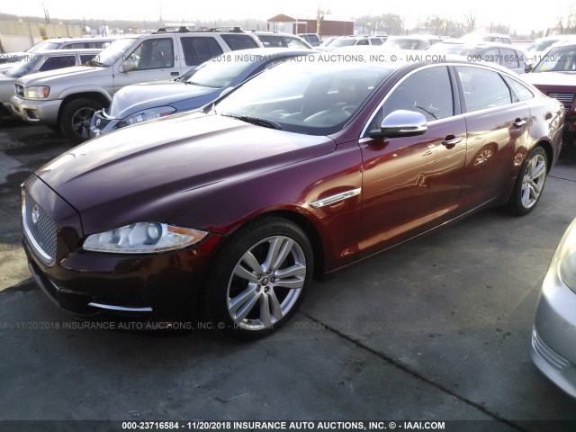 SAJWJ2GD5D8V51321 - 2013 JAGUAR XJL PORTFOLIO RED photo 2