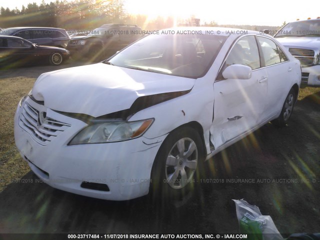 4T1BE46K17U641702 - 2007 TOYOTA CAMRY NEW GENERAT CE/LE/XLE/SE WHITE photo 2