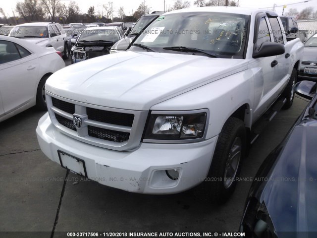 1D7RW3GK7BS549769 - 2011 DODGE DAKOTA SLT WHITE photo 2