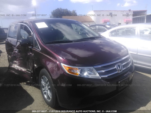 5FNRL5H62CB084624 - 2012 HONDA ODYSSEY EXL MAROON photo 1