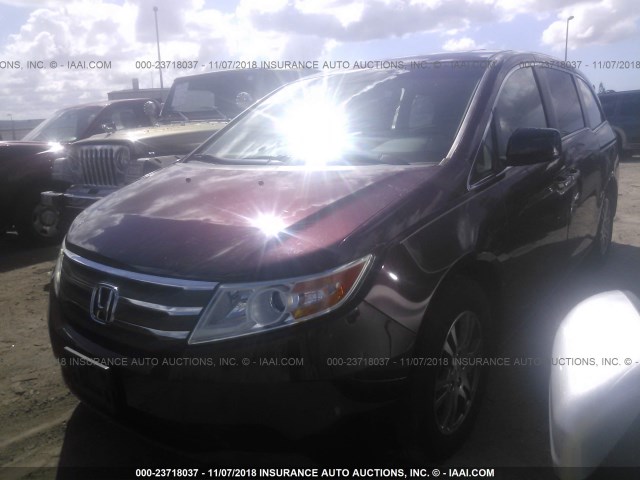 5FNRL5H62CB084624 - 2012 HONDA ODYSSEY EXL MAROON photo 2