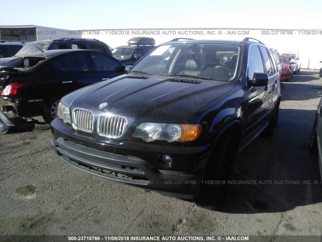 5UXFB33543LH44637 - 2003 BMW X5 4.4I BLACK photo 2