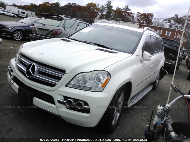 4JGBF7BE6BA640912 - 2011 MERCEDES-BENZ GL 450 4MATIC WHITE photo 2