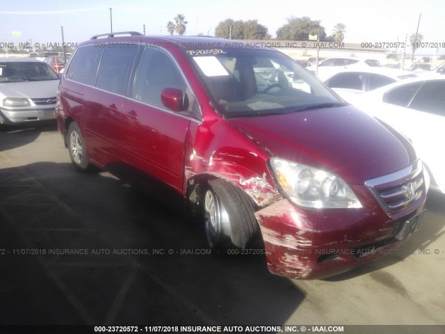 5FNRL38686B434363 - 2006 HONDA ODYSSEY EXL RED photo 1