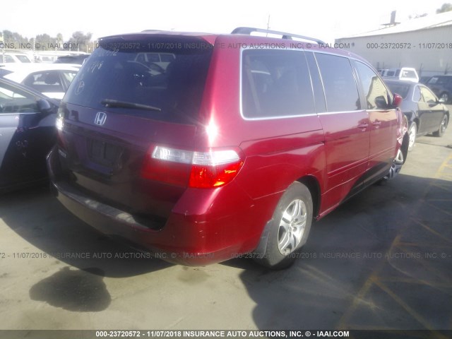 5FNRL38686B434363 - 2006 HONDA ODYSSEY EXL RED photo 4