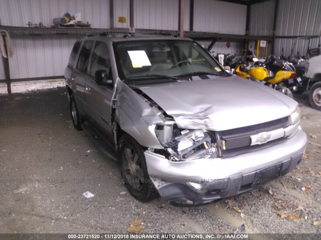 1GNDT13S342449220 - 2004 CHEVROLET TRAILBLAZER LS/LT SILVER photo 6