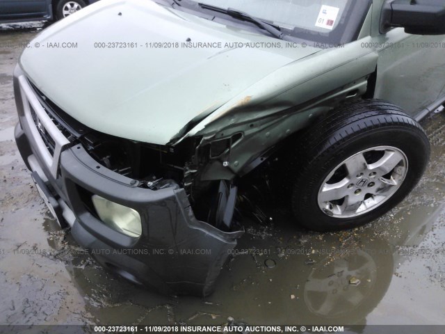 5J6YH18503L021123 - 2003 HONDA ELEMENT EX GREEN photo 6